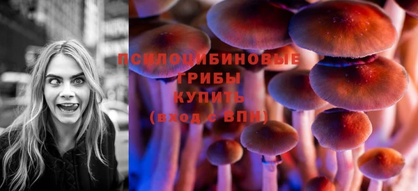 хмурый Абаза
