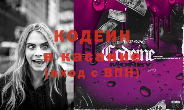 хмурый Абаза