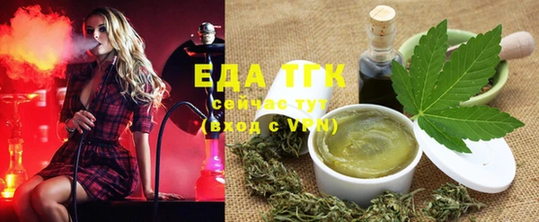 хмурый Абаза