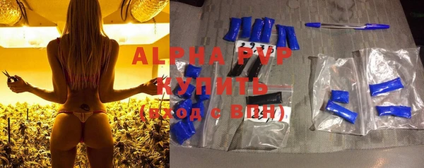 хмурый Абаза