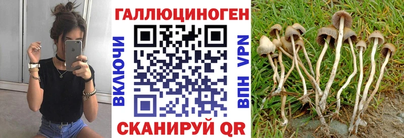 Псилоцибиновые грибы ЛСД  кракен маркетплейс  Советская Гавань  даркнет сайт 