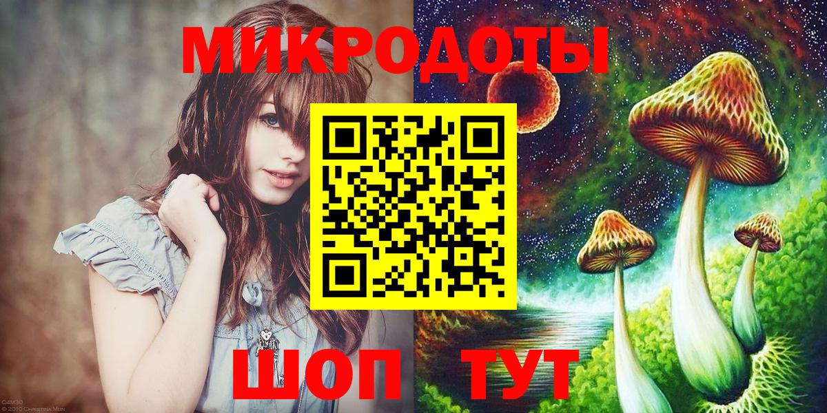 Галлюциногенные грибы Psilocybine cubensis Советская Гавань